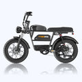 Tamobyke T73 Pro Max Electric Bike